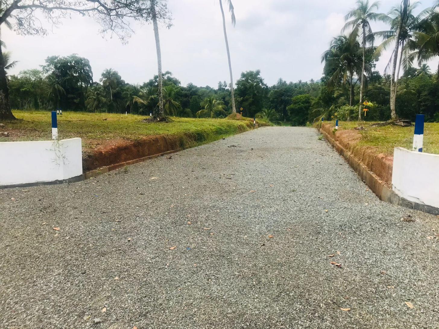 Near 231 Gampaha- Kiridiwela Bus Road 