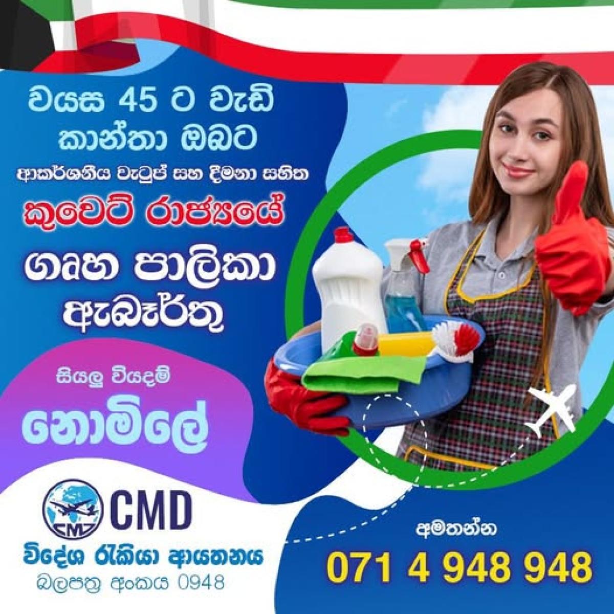 Rumania Jobs