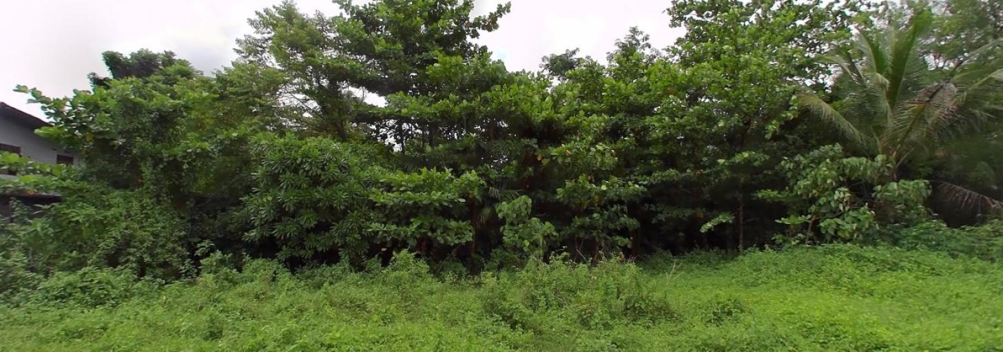 29.8 perches bare land for sale in Kaduwela, Nawag