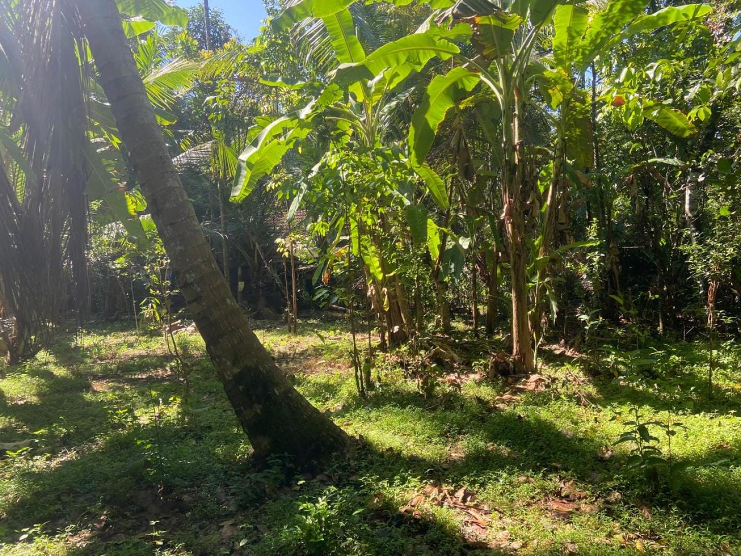 Land for sale Veyangoda